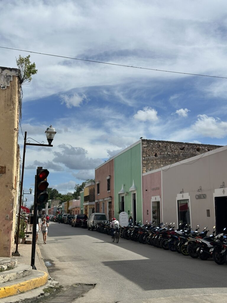 Valladolid market